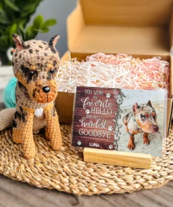 Personalized Crochet Doll with Photo Card "You Were My Favorite Hello"